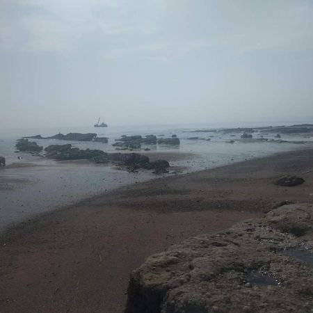 Seaside Guest House A Stone'S Throw From The Beach Dawlish Ngoại thất bức ảnh