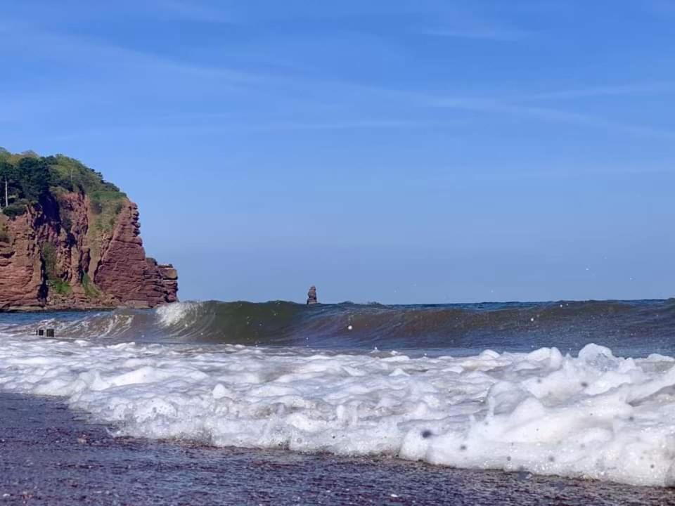 Seaside Guest House A Stone'S Throw From The Beach Dawlish Ngoại thất bức ảnh